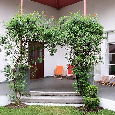 La Casa De Las Magnolias Hotel Coyoacan Luaran gambar