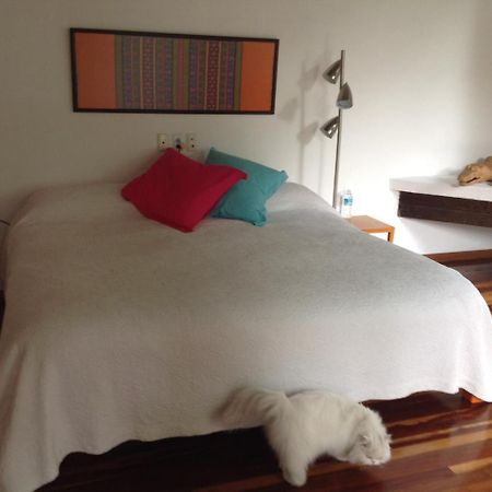 La Casa De Las Magnolias Hotel Coyoacan Luaran gambar