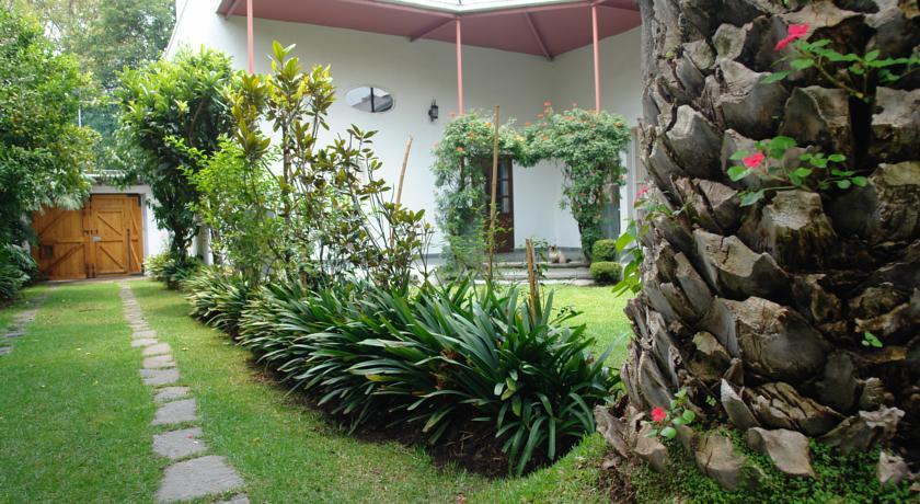 La Casa De Las Magnolias Hotel Coyoacan Luaran gambar