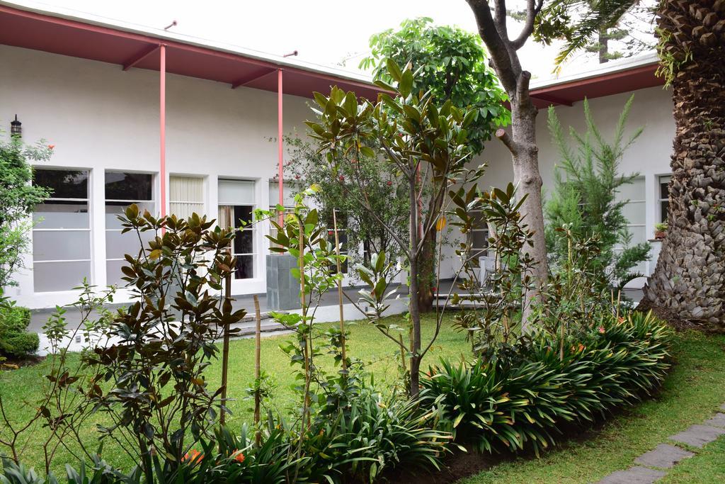 La Casa De Las Magnolias Hotel Coyoacan Luaran gambar