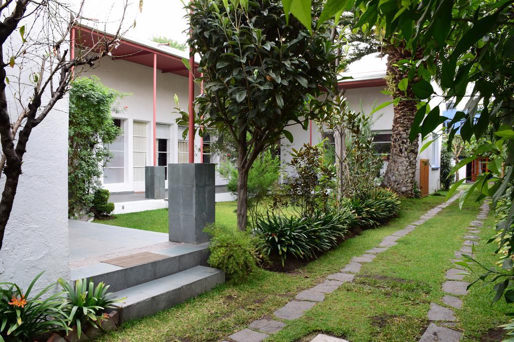 La Casa De Las Magnolias Hotel Coyoacan Luaran gambar