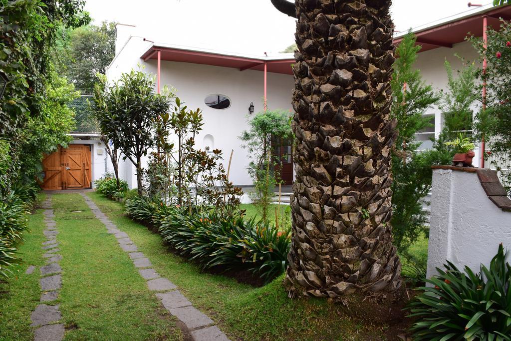 La Casa De Las Magnolias Hotel Coyoacan Luaran gambar