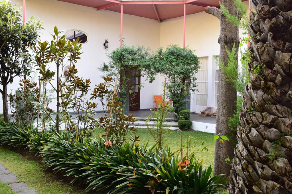 La Casa De Las Magnolias Hotel Coyoacan Luaran gambar