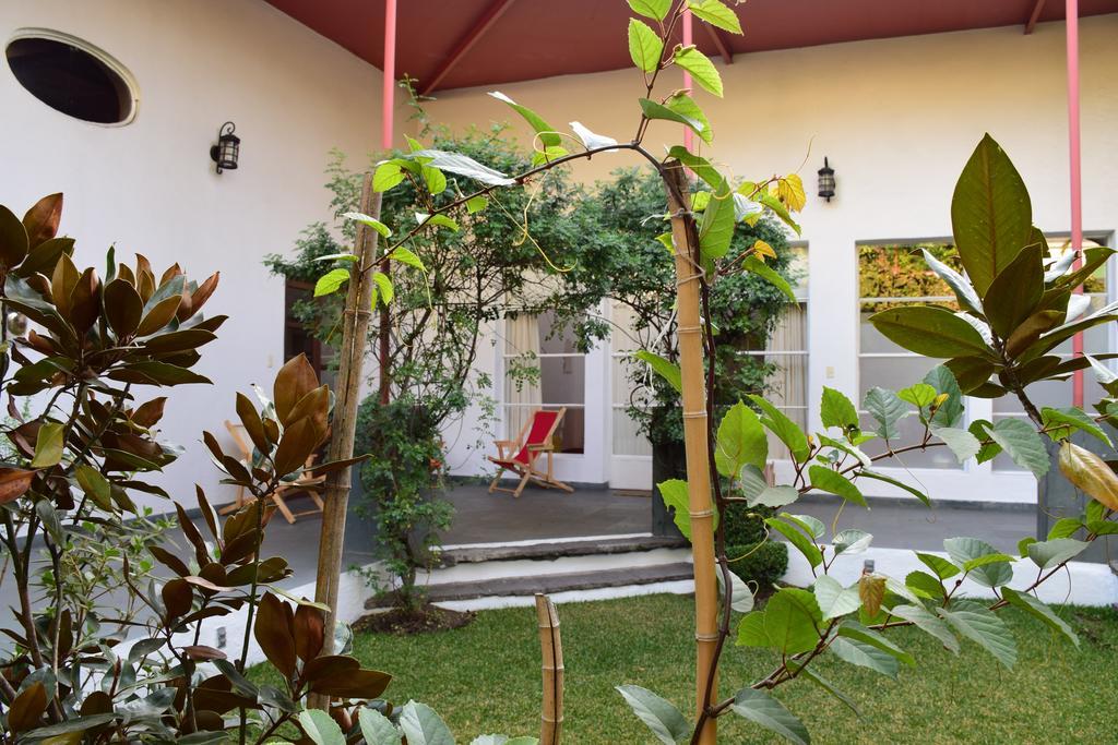 La Casa De Las Magnolias Hotel Coyoacan Luaran gambar