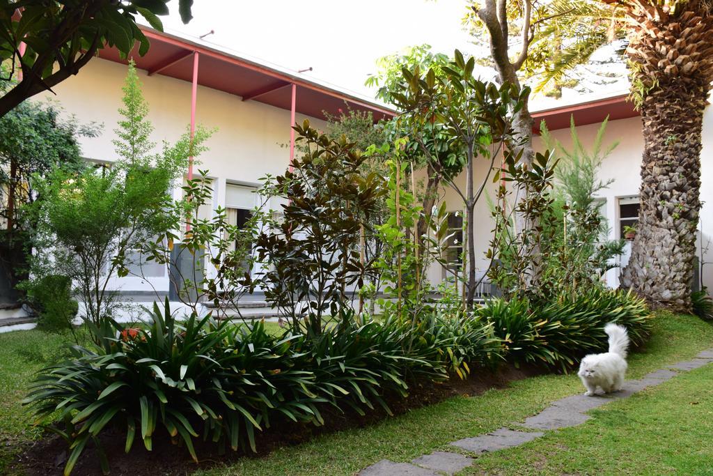 La Casa De Las Magnolias Hotel Coyoacan Luaran gambar