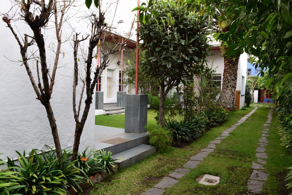 La Casa De Las Magnolias Hotel Coyoacan Luaran gambar