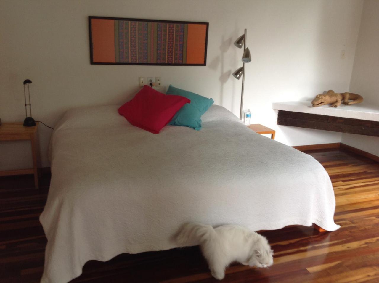 La Casa De Las Magnolias Hotel Coyoacan Luaran gambar